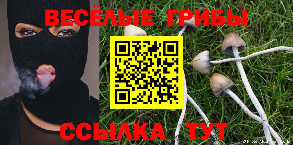 Галлюциногенные грибы Psilocybe  купить наркоту  Кольчугино  Вход с VPN 