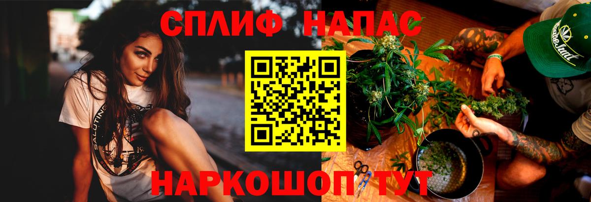 Конопля индика  Канабис Ganja  Вход с VPN  Канабис планчик  Кольчугино 